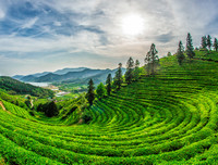 [ẢNH] Ghé thăm những điểm đến 