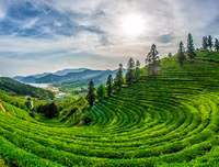 [ẢNH] Ghé thăm những điểm đến 
