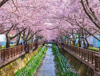 [ẢNH] Ghé thăm những điểm đến 