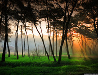 [ẢNH] Ghé thăm những điểm đến 