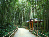 [ẢNH] Ghé thăm những điểm đến 