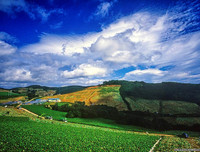 [ẢNH] Ghé thăm những điểm đến 