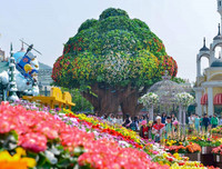 [ẢNH] Ghé thăm những điểm đến 