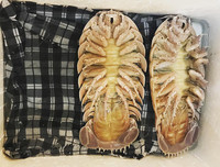 [ẢNH] 6 món đặc sản biển gây ấn tượng bởi vẻ ngoài 