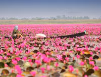 [ẢNH] Chiêm ngưỡng vẻ đẹp của những hồ nước kỳ lạ nhất thế giới