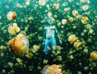 [ẢNH] Chiêm ngưỡng vẻ đẹp của những hồ nước kỳ lạ nhất thế giới