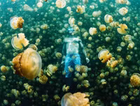 [ẢNH] Chiêm ngưỡng vẻ đẹp của những hồ nước kỳ lạ nhất thế giới