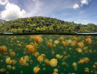 [ẢNH] Chiêm ngưỡng vẻ đẹp của những hồ nước kỳ lạ nhất thế giới