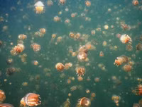 [ẢNH] Chiêm ngưỡng vẻ đẹp của những hồ nước kỳ lạ nhất thế giới