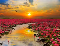 [ẢNH] Chiêm ngưỡng vẻ đẹp của những hồ nước kỳ lạ nhất thế giới