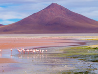 [ẢNH] Chiêm ngưỡng vẻ đẹp của những hồ nước kỳ lạ nhất thế giới