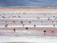 [ẢNH] Chiêm ngưỡng vẻ đẹp của những hồ nước kỳ lạ nhất thế giới