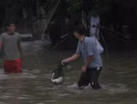 [ẢNH] Những trận lụt lịch sử biến Hà Nội thành 