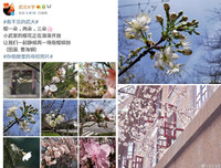 [ẢNH] Vũ Hán đón 