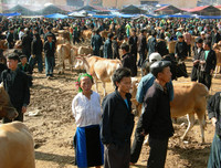 [ẢNH] Độc đáo những phiên chợ vùng cao Tây Bắc