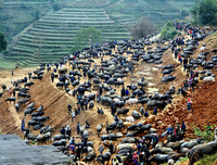 [ẢNH] Độc đáo những phiên chợ vùng cao Tây Bắc