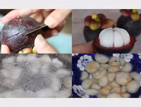 [ẢNH] Những món ngon, thanh mát từ măng cụt cho ngày hè nắng nóng