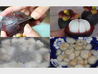 [ẢNH] Những món ngon, thanh mát từ măng cụt cho ngày hè nắng nóng