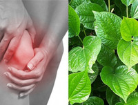 [ẢNH] Mẹo nhỏ dân gian giúp điều trị các bệnh thường gặp vào mùa đông