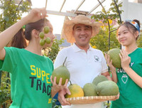 [ẢNH] Sao Việt làm gì trong những ngày nghỉ vì đại dịch Covid-19?