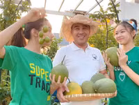 [ẢNH] Sao Việt làm gì trong những ngày nghỉ vì đại dịch Covid-19?