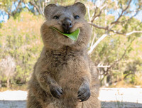 [ẢNH] Những loài động vật 