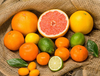 [ẢNH] Những thực phẩm giúp thanh lọc cơ thể cực tốt vào mùa hè không thể bỏ qua