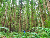 [ẢNH] Mãn nhãn bộ ảnh 1111 ngày vòng quanh thế giới bằng xe máy của Trần Đặng Đăng Khoa (P2)