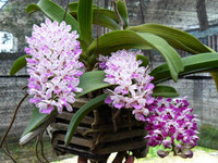 [ẢNH] 20-10 sắp tới, những món quà bất ngờ dành cho phái đẹp