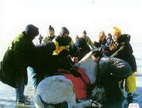 Ảnh hậu trường hài hước ít người biết trong phim Tây Du Ký 1986