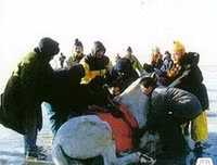 Ảnh hậu trường hài hước ít người biết trong phim Tây Du Ký 1986