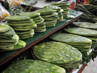 [ẢNH] Độc đáo với những món ngon được chế biến từ xương rồng