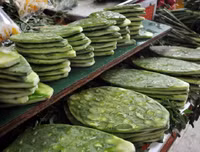 [ẢNH] Độc đáo với những món ngon được chế biến từ xương rồng