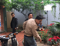 Lý giải nguyên nhân 