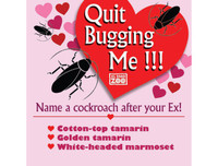 [ẢNH] Bật cười trước những món quà Valentine hài hước ‘không đụng hàng’