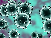 [ẢNH] Dịch corona: Trả lời 13 câu hỏi sau để hiểu hơn về virus 2019-nCoV