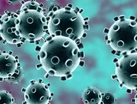 [ẢNH] Dịch corona: Trả lời 13 câu hỏi sau để hiểu hơn về virus 2019-nCoV