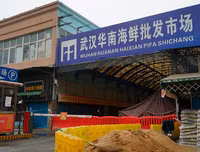 [ẢNH] Dịch corona: Trả lời 13 câu hỏi sau để hiểu hơn về virus 2019-nCoV