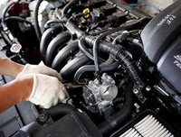 [ẢNH] Các bước xử lý 