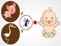 [ẢNH] Những loài động vật là ổ chứa tự nhiên của nhiều virus 