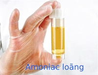 [ẢNH] Mẹo xử lý ban đầu khi bị côn trùng cắn