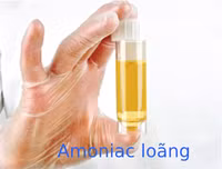 [ẢNH] Mẹo xử lý ban đầu khi bị côn trùng cắn