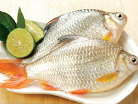 [ẢNH] Chế độ dinh dưỡng phù hợp giúp duy trì vóc dáng đúng chuẩn