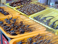 [ẢNH] Những món ăn kỳ lạ có 