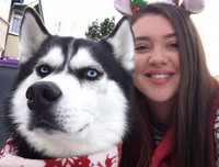 [ẢNH] Những chú chó nổi tiếng trên mạng nhờ biểu cảm gương mặt 