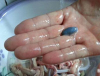 [ẢNH] Những điều 