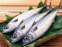 [ẢNH] Những điều 