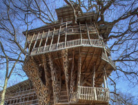 [ẢNH] Những ngôi nhà cây có thiết kế 