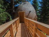 [ẢNH] Những ngôi nhà cây có thiết kế 