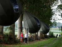 [ẢNH] Những ngôi nhà cây có thiết kế 